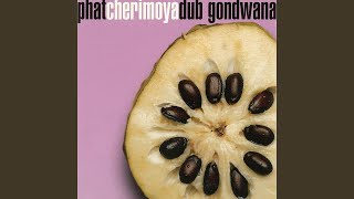 Dub in the Skies - Gondwana