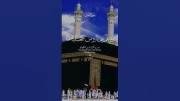 القرآن الكريم سورة الفيل #المصحف #اكسبلور