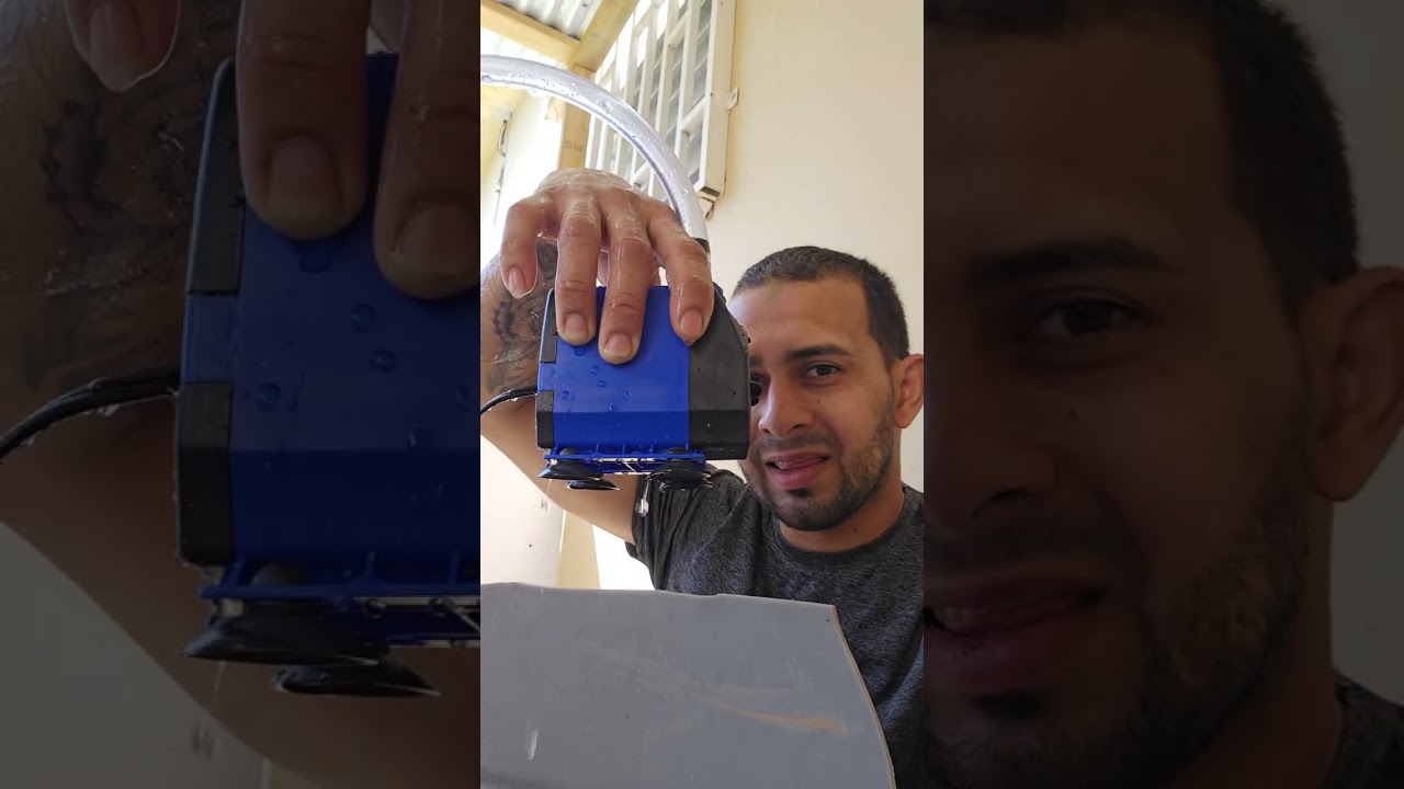 Desove de la koi asagi de 27