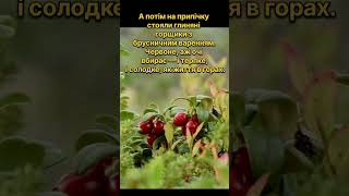 Брусниця #говірка #діалект #українськамова #маловживаніслова #shorts