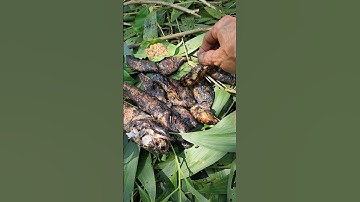 Cá nướng trui ngoài đồng #short #tiêngiangtv #cálócnướngtrui