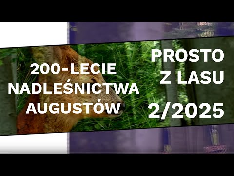 200th anniversary of the Augustów Forest District - Straight from the forest |02 2025|