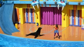Clyde & Seamores Sea Lion High Show 2015 At Seaworld Orlando Florida