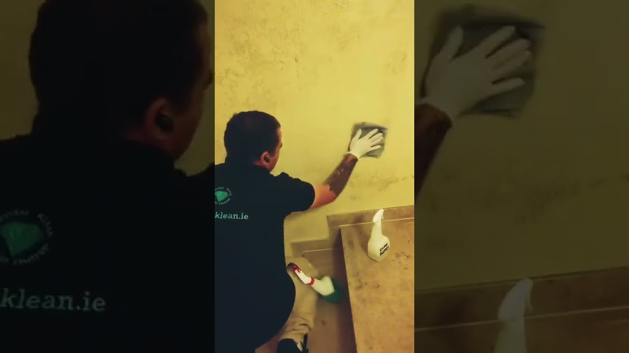 Mould Removal in Dublin, Ireland