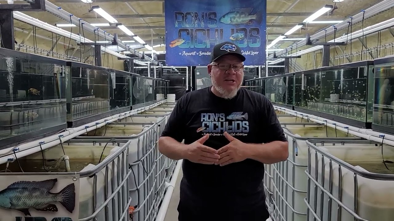 Fish Shipping Methods YouTube