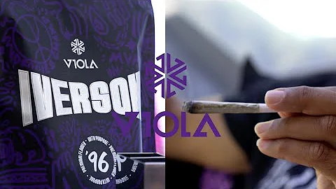 Viola x Iverson '96 Launch Weekend