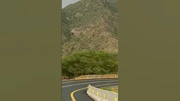 واليوم ياذيب الخلا ويش سويت 