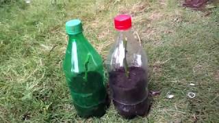 plastic bottle mini diy