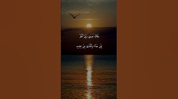 سورة القصص { ٣٦ _ ٣٧ } #ياسر_الدوسري #القرآن #انشر_تؤجر