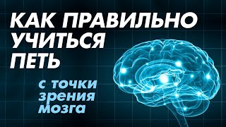 видео: Как правильно учиться петь с точки зрения мозга картинка: Как правильно учиться петь с точки зрения мозга