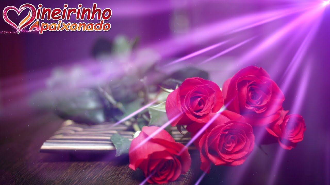 Você Me Faz Tão Feliz! Seu Carinho E Atenção São Tudo Para Mim E Eu Quero Te Fazer Feliz Eternamente