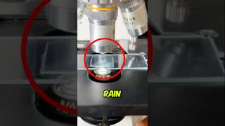 Rain Under a Microscope and This Happened ‼️🤯