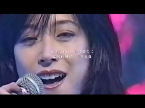 中森明菜 MOONLIGHT SHADOW 月に吠えろ 中文歌詞