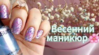 :    Masura   