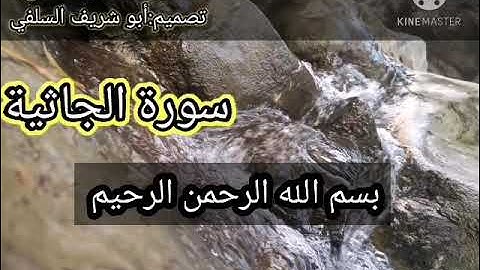صوت في قمة الجمال يدخل في عالم آخر للقارى :موسى الحمادي سورة الجاثية