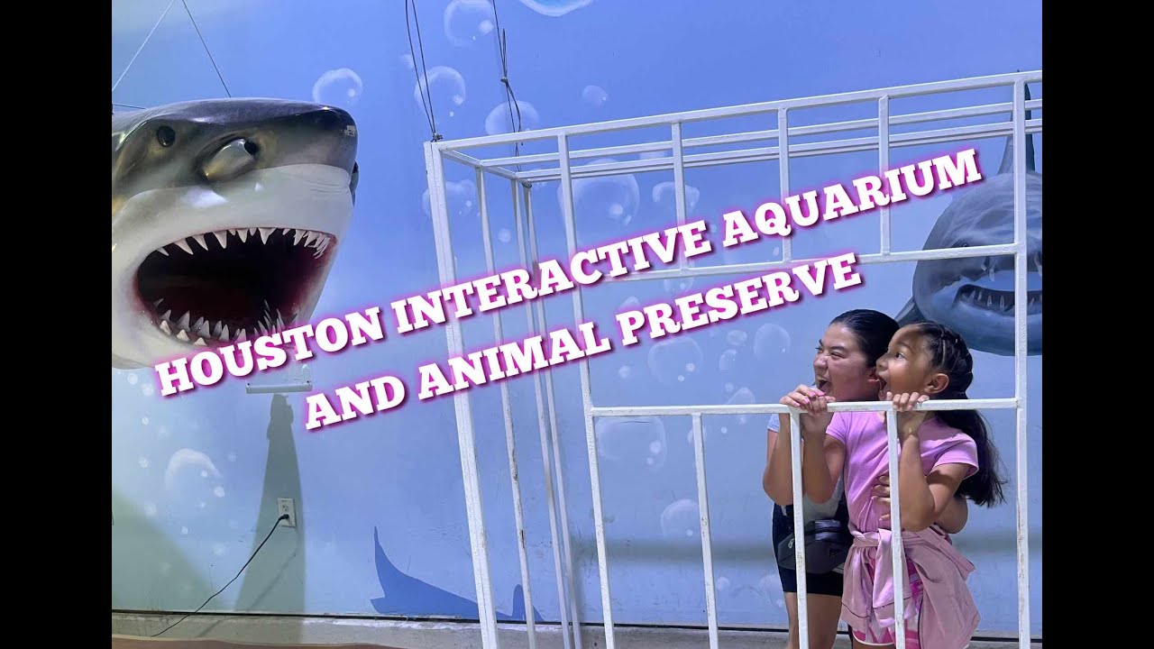 Houston Interactive Aquarium and Animal Preserve YouTube