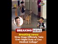 Why the Only Doctors Left in GMC Have Four Legs and a Tail! #goa #funny #comedy #goanmemes | FFF