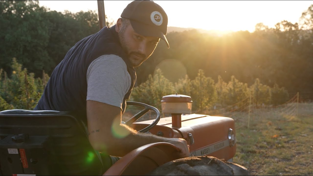 🎥 Production de CBD Bio — Terre et Tradition à Villematier