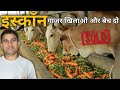 Iskcon is selling cows to butchers  santosh pathak