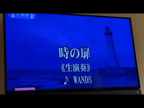 【時の扉 WANDS】一般男性が原曲キーで歌ってみた。