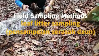 Field Sampling Methods- Leaf Litter Samplings (Pensampelan Serasah Daun)