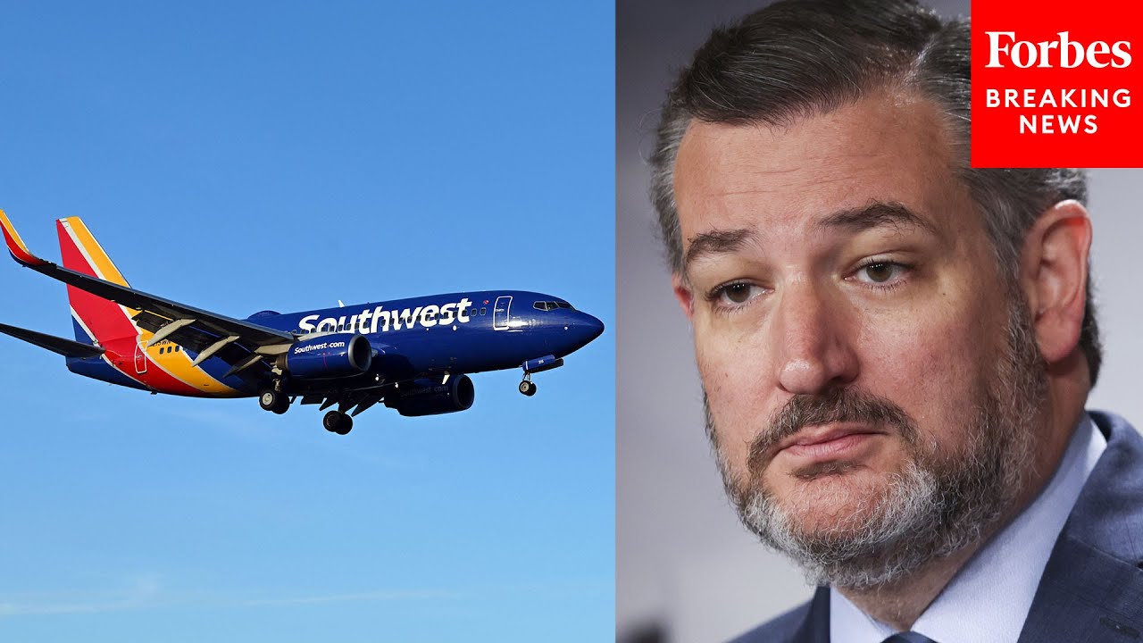 What Needs To Be Done Ted Cruz Questions Witness On Southwest what-needs-to-be-done-ted-cruz-questions-witness-on-southwest