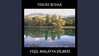Gitme Garip