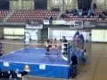 isamael avila vs antonio rr cordoba ,pattaya thay cadiz