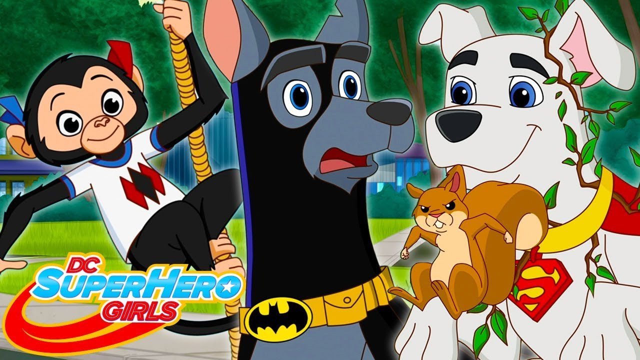 Krypto, el superperro, y Ace, el Bati-sabueso | DC Super Hero Girls Latino America