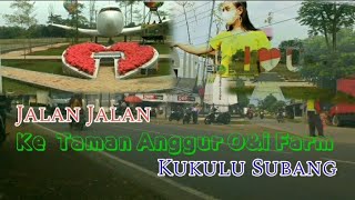 Jalan ke TAMAN ANGGUR O&i Farm kukulu subang