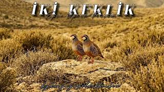 İki Keklik Epic Opera Version (Soprano Cover)