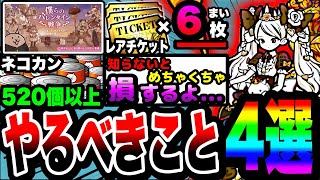 【にゃんこ大戦争】やらなきゃ必ず損します…。バレンタインイベント&にゃんこ強化週間イベント中にやるべきこと4選!【バレンタインギャルズ】【初心者】【リュウの実況部屋】