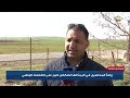 المحاصيل الزراعية | زراعة المحاصيل في الرمثا لها انعكاس كبير على الاقتصاد الوطني
