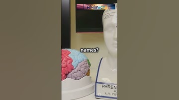"Why We Forget Names Easily | Fascinating Facts! #fyp #viral #shorts" @ted_ed @brightside