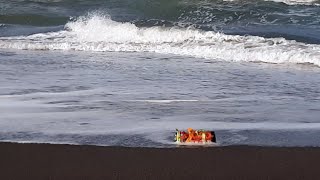 Ondel ondel | Ondel ondel Mini | Ondel ondel Betawi Hanyut di Laut