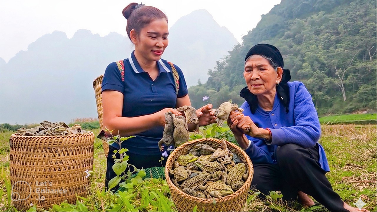 90 Years Old Mother & Single Mom Catching Giant Frog, Harvest Orange, Selling at the market
