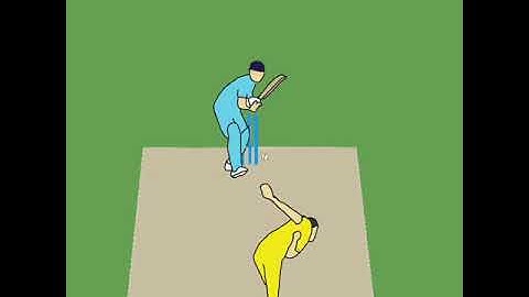 Who is bowler and batsman? #cricketanimation #Flipaclip #shorts