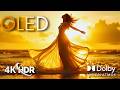 4K HDR Demo in OLED | Pure Visual Heaven in Dolby Vision(4K/8K TV)