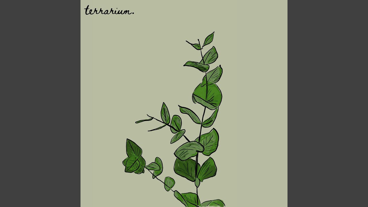 Watch eucalyptus on YouTube Watch eucalyptus on YouTube