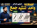 Arabic Grammar Lecture 02 | واحد، تثنیہ، جمع | Single, Dual & Plural | SSCC Academy