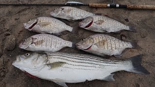 Simple Tip To Catch More Fish in the Surf