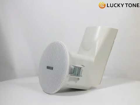 Lucky Tone Tube Ceiling Speaker