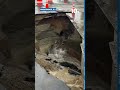 Large sinkhole forces street closure