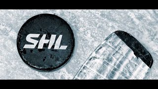 Roliga refcams från SHL 18/19