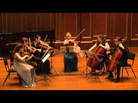 Arnold Schoenberg - Transfigured Night for String Sextet, Op. 4