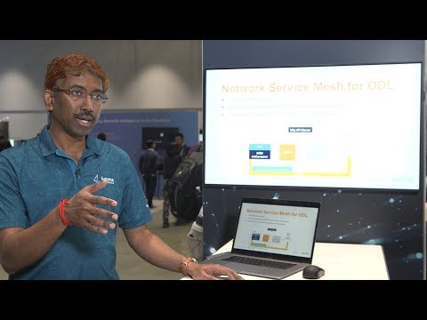 Network Service Mesh, OpenDaylight & LEAP Integration Demo