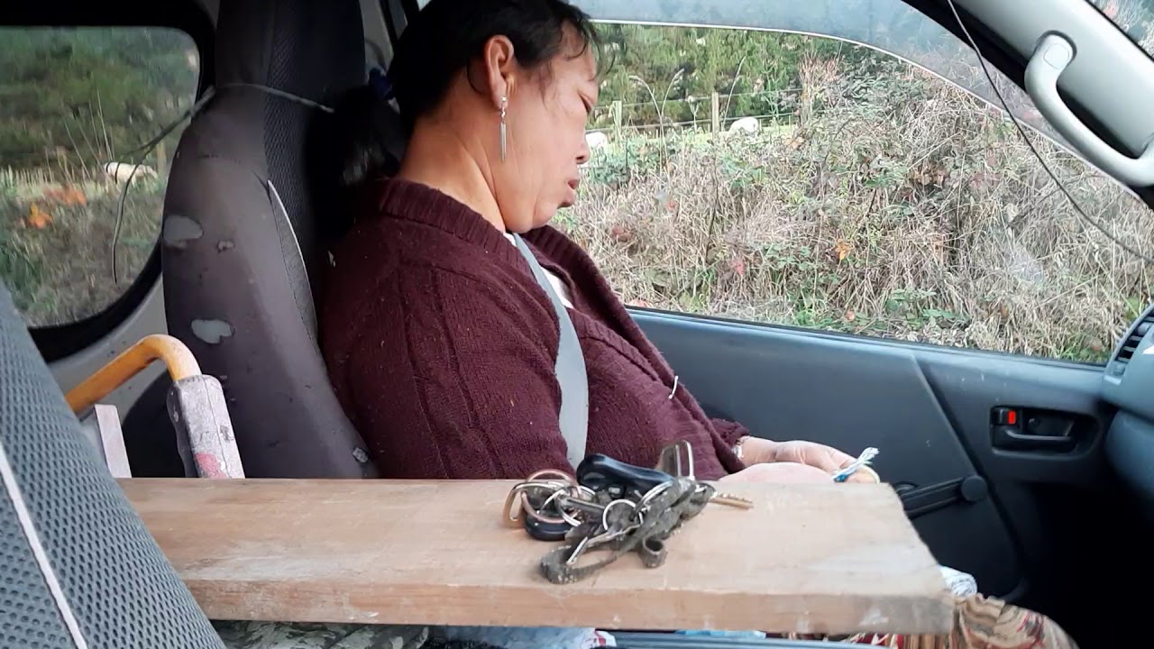 Coj nej nrog kuv mus saib yaj nyob teb chaws New Zealand