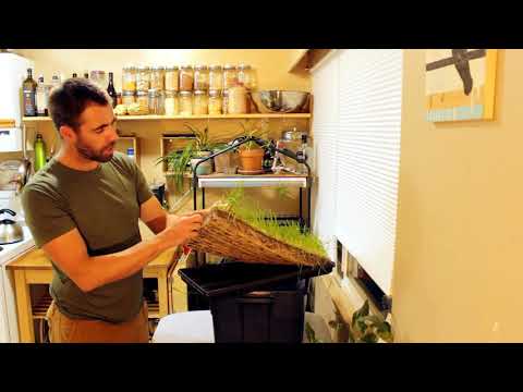 1.2: Soil - Home Microgreens Production