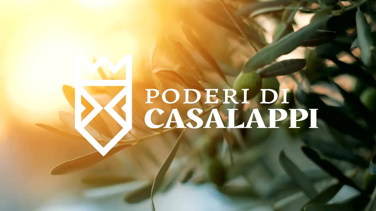Poderi di Casalappi - Tradizione, natura e ospitalità nel cuore della Toscana