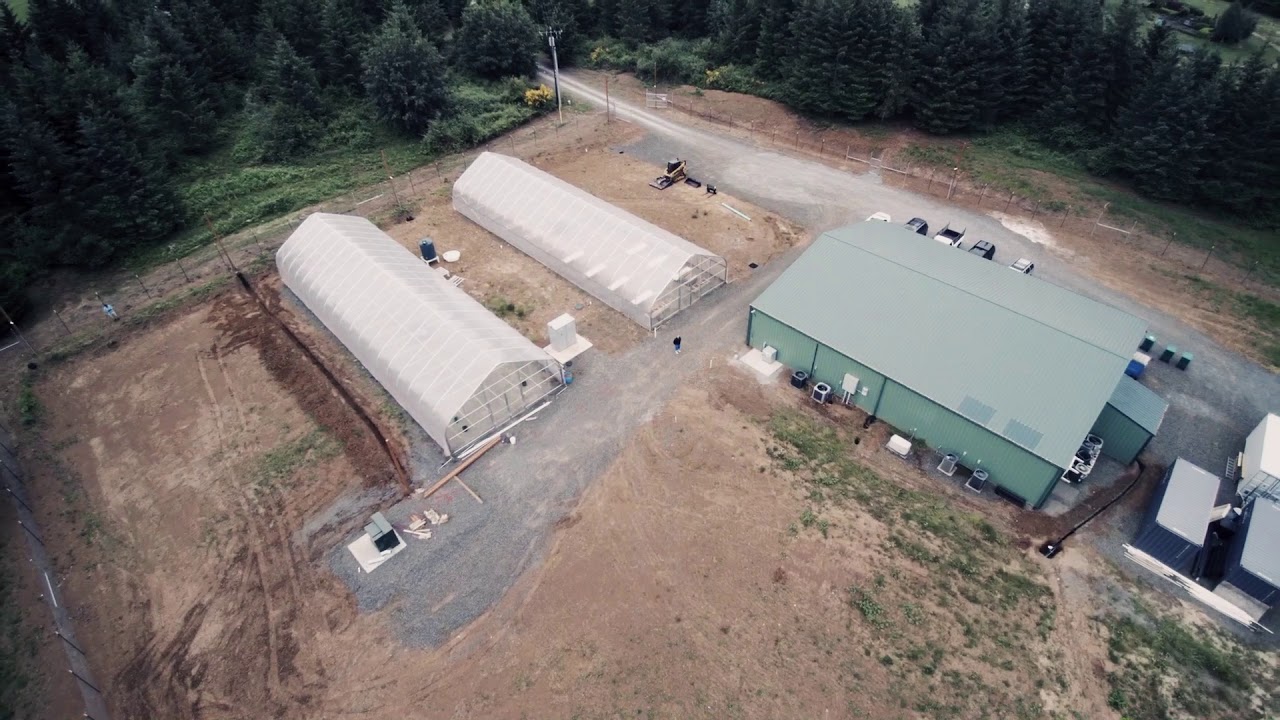 High Ridge Farms Drone Footage YouTube